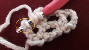 take up 2 loops of the chain stitch