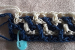 Row 2b last dc made in front