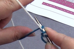 01 Prov Cast on 10 continue with making second stitch
