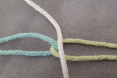 First warp thread